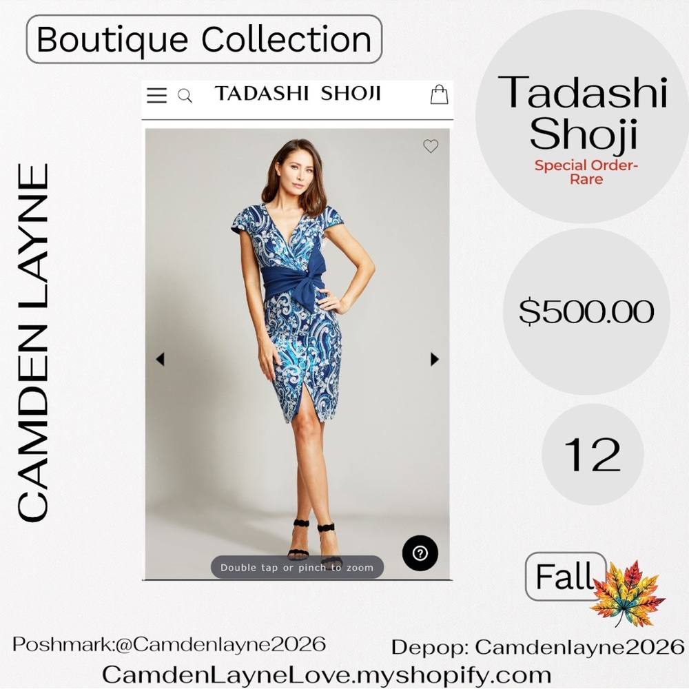 Tadashi Shoji Hitomi Embroidered Tulle Mini Dress